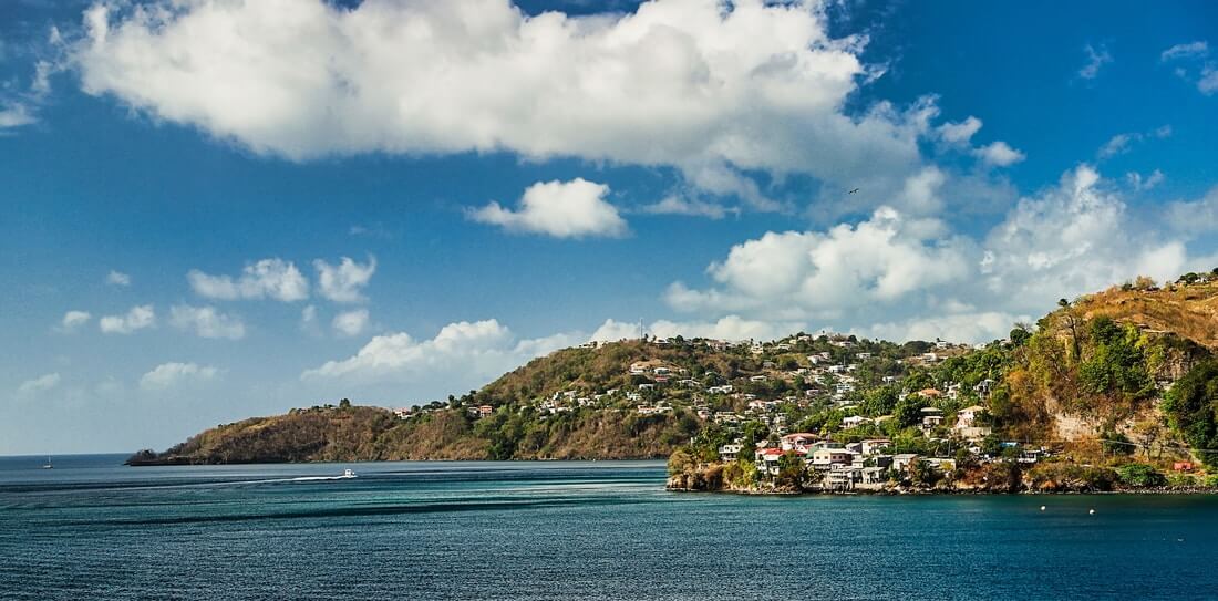The Best Caribbean Medical Schools (2024 Update)